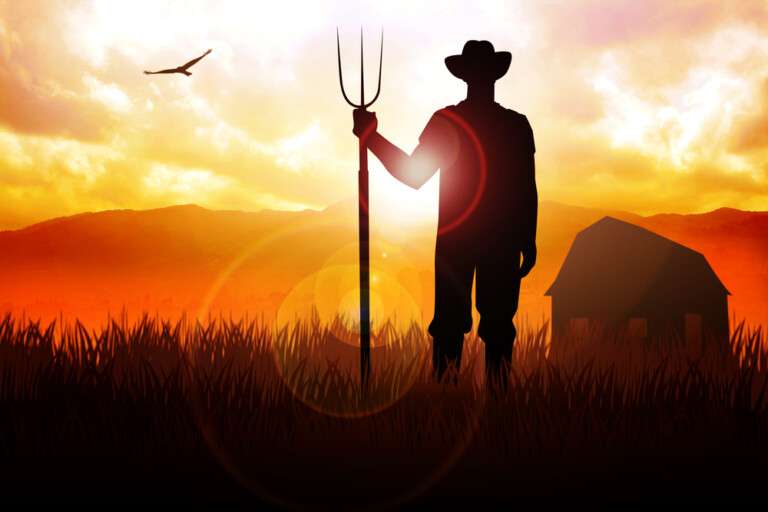 agrotis_sunset