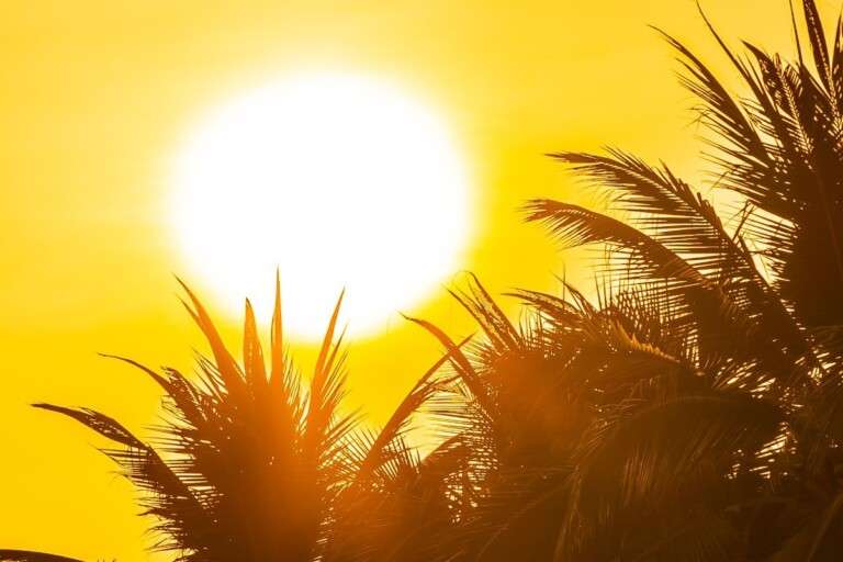 beautiful-outdoor-nature-with-sky-sunset-sunrise-around-coconut-palm-tree.a7b8a1