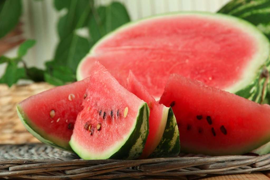 160-Watermelon-1024x683